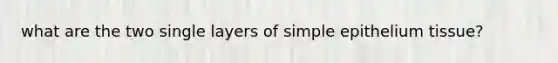 what are the two single layers of simple epithelium tissue?