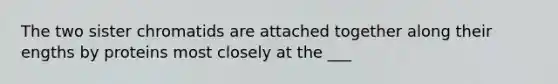 The two sister chromatids are attached together along their engths by proteins most closely at the ___