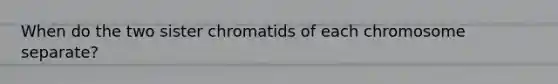 When do the two sister chromatids of each chromosome separate?