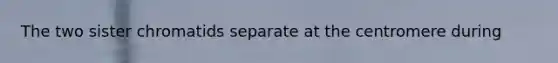 The two sister chromatids separate at the centromere during