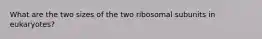 What are the two sizes of the two ribosomal subunits in eukaryotes?