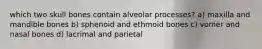 which two skull bones contain alveolar processes? a) maxilla and mandible bones b) sphenoid and ethmoid bones c) vomer and nasal bones d) lacrimal and parietal