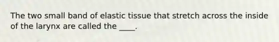 The two small band of elastic tissue that stretch across the inside of the larynx are called the ____.