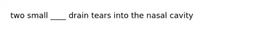 two small ____ drain tears into the nasal cavity