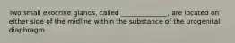 Two small exocrine glands, called ______________, are located on either side of the midline within the substance of the urogenital diaphragm