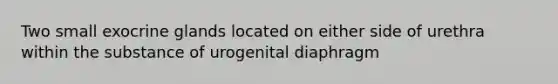 Two small exocrine glands located on either side of urethra within the substance of urogenital diaphragm