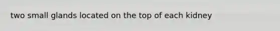 two small glands located on the top of each kidney
