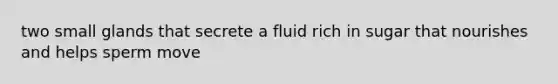 two small glands that secrete a fluid rich in sugar that nourishes and helps sperm move