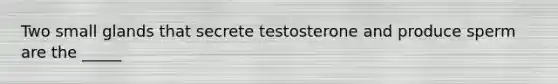 Two small glands that secrete testosterone and produce sperm are the _____