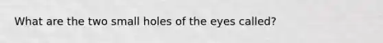 What are the two small holes of the eyes called?