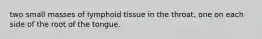 two small masses of lymphoid tissue in the throat, one on each side of the root of the tongue.