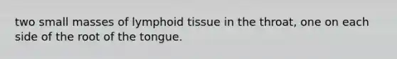 two small masses of lymphoid tissue in the throat, one on each side of the root of the tongue.