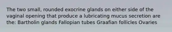 The two small, rounded exocrine glands on either side of the vaginal opening that produce a lubricating mucus secretion are the: Bartholin glands Fallopian tubes Graafian follicles Ovaries