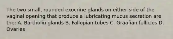 The two small, rounded exocrine glands on either side of the vaginal opening that produce a lubricating mucus secretion are the: A. Bartholin glands B. Fallopian tubes C. Graafian follicles D. Ovaries