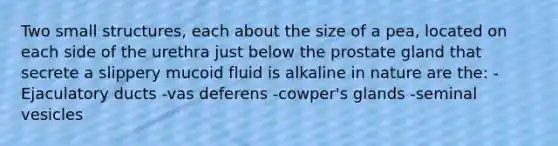 Two small structures, each about the size of a pea, located on each side of the urethra just below the prostate gland that secrete a slippery mucoid fluid is alkaline in nature are the: -Ejaculatory ducts -vas deferens -cowper's glands -seminal vesicles