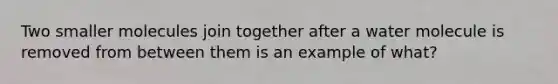 Two smaller molecules join together after a water molecule is removed from between them is an example of what?