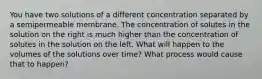 You have two solutions of a different concentration separated by a semipermeable membrane. The concentration of solutes in the solution on the right is much higher than the concentration of solutes in the solution on the left. What will happen to the volumes of the solutions over time? What process would cause that to happen?