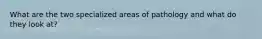 What are the two specialized areas of pathology and what do they look at?