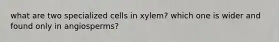 what are two specialized cells in xylem? which one is wider and found only in angiosperms?