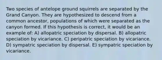 Two species of antelope ground squirrels are separated by the Grand Canyon. They are hypothesized to descend from a common ancestor, populations of which were separated as the canyon formed. If this hypothesis is correct, it would be an example of: A) allopatric speciation by dispersal. B) allopatric speciation by vicariance. C) peripatric speciation by vicariance. D) sympatric speciation by dispersal. E) sympatric speciation by vicariance.