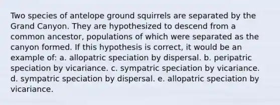 Two species of antelope ground squirrels are separated by the Grand Canyon. They are hypothesized to descend from a common ancestor, populations of which were separated as the canyon formed. If this hypothesis is correct, it would be an example of: a. allopatric speciation by dispersal. b. peripatric speciation by vicariance. c. sympatric speciation by vicariance. d. sympatric speciation by dispersal. e. allopatric speciation by vicariance.