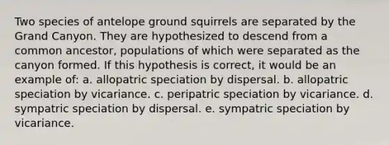 Two species of antelope ground squirrels are separated by the Grand Canyon. They are hypothesized to descend from a common ancestor, populations of which were separated as the canyon formed. If this hypothesis is correct, it would be an example of: a. allopatric speciation by dispersal. b. allopatric speciation by vicariance. c. peripatric speciation by vicariance. d. sympatric speciation by dispersal. e. sympatric speciation by vicariance.