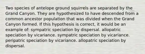 Two species of antelope ground squirrels are separated by the Grand Canyon. They are hypothesized to have descended from a common ancestor population that was divided when the Grand Canyon formed. If this hypothesis is correct, it would be an example of: sympatric speciation by dispersal. allopatric speciation by vicariance. sympatric speciation by vicariance. peripatric speciation by vicariance. allopatric speciation by dispersal.