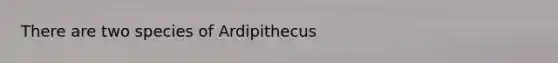 There are two species of Ardipithecus