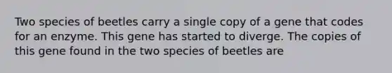 Two species of beetles carry a single copy of a gene that codes for an enzyme. This gene has started to diverge. The copies of this gene found in the two species of beetles are