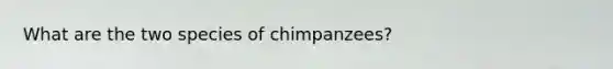 What are the two species of chimpanzees?