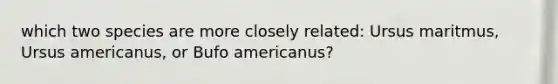 which two species are more closely related: Ursus maritmus, Ursus americanus, or Bufo americanus?