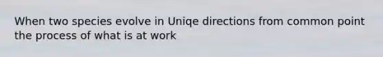 When two species evolve in Uniqe directions from common point the process of what is at work