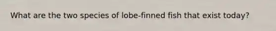 What are the two species of lobe-finned fish that exist today?