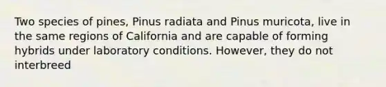 Two species of pines, Pinus radiata and Pinus muricota, live in the same regions of California and are capable of forming hybrids under laboratory conditions. However, they do not interbreed