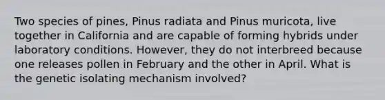 Two species of pines, Pinus radiata and Pinus muricota, live together in California and are capable of forming hybrids under laboratory conditions. However, they do not interbreed because one releases pollen in February and the other in April. What is the genetic isolating mechanism involved?