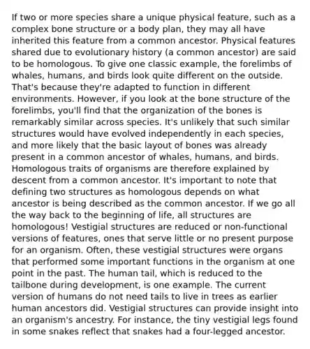 If two or more species share a unique physical feature, such as a complex bone structure or a body plan, they may all have inherited this feature from a common ancestor. Physical features shared due to evolutionary history (a common ancestor) are said to be homologous. To give one classic example, the forelimbs of whales, humans, and birds look quite different on the outside. That's because they're adapted to function in different environments. However, if you look at the bone structure of the forelimbs, you'll find that the organization of the bones is remarkably similar across species. It's unlikely that such similar structures would have evolved independently in each species, and more likely that the basic layout of bones was already present in a common ancestor of whales, humans, and birds. Homologous traits of organisms are therefore explained by descent from a common ancestor. It's important to note that defining two structures as homologous depends on what ancestor is being described as the common ancestor. If we go all the way back to the beginning of life, all structures are homologous! Vestigial structures are reduced or non-functional versions of features, ones that serve little or no present purpose for an organism. Often, these vestigial structures were organs that performed some important functions in the organism at one point in the past. The human tail, which is reduced to the tailbone during development, is one example. The current version of humans do not need tails to live in trees as earlier human ancestors did. Vestigial structures can provide insight into an organism's ancestry. For instance, the tiny vestigial legs found in some snakes reflect that snakes had a four-legged ancestor.