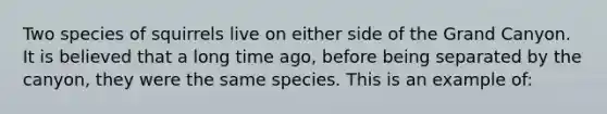 Two species of squirrels live on either side of the Grand Canyon. It is believed that a long time ago, before being separated by the canyon, they were the same species. This is an example of: