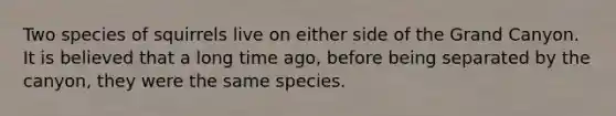 Two species of squirrels live on either side of the Grand Canyon. It is believed that a long time ago, before being separated by the canyon, they were the same species.