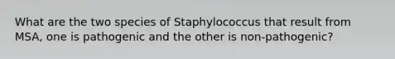 What are the two species of Staphylococcus that result from MSA, one is pathogenic and the other is non-pathogenic?