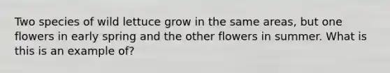 Two species of wild lettuce grow in the same areas, but one flowers in early spring and the other flowers in summer. What is this is an example of?