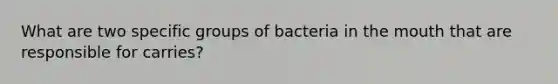 What are two specific groups of bacteria in the mouth that are responsible for carries?