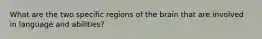 What are the two specific regions of the brain that are involved in language and abilities?