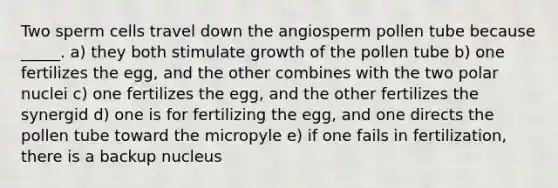 Two sperm cells travel down the angiosperm pollen tube because _____. a) they both stimulate growth of the pollen tube b) one fertilizes the egg, and the other combines with the two polar nuclei c) one fertilizes the egg, and the other fertilizes the synergid d) one is for fertilizing the egg, and one directs the pollen tube toward the micropyle e) if one fails in fertilization, there is a backup nucleus