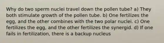 Why do two sperm nuclei travel down the pollen tube? a) They both stimulate growth of the pollen tube. b) One fertilizes the egg, and the other combines with the two polar nuclei. c) One fertilizes the egg, and the other fertilizes the synergid. d) If one fails in fertilization, there is a backup nucleus