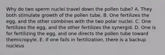 Why do two sperm nuclei travel down the pollen tube? A. They both stimulate growth of the pollen tube. B. One fertilizes the egg, and the other combines with the two polar nuclei. C. One fertilizes the egg, and the other fertilizes the synergid. D. One is for fertilizing the egg, and one directs the pollen tube toward themicropyle. E. If one fails in fertilization, there is a backup nucleus