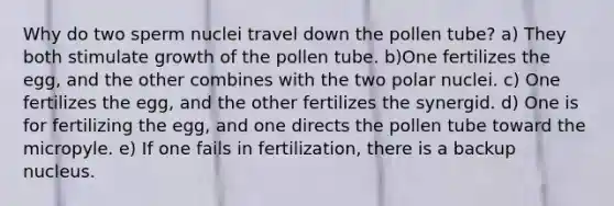 Why do two sperm nuclei travel down the pollen tube? a) They both stimulate growth of the pollen tube. b)One fertilizes the egg, and the other combines with the two polar nuclei. c) One fertilizes the egg, and the other fertilizes the synergid. d) One is for fertilizing the egg, and one directs the pollen tube toward the micropyle. e) If one fails in fertilization, there is a backup nucleus.