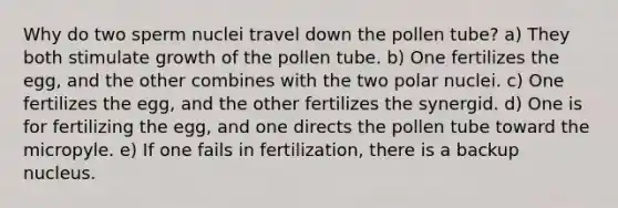 Why do two sperm nuclei travel down the pollen tube? a) They both stimulate growth of the pollen tube. b) One fertilizes the egg, and the other combines with the two polar nuclei. c) One fertilizes the egg, and the other fertilizes the synergid. d) One is for fertilizing the egg, and one directs the pollen tube toward the micropyle. e) If one fails in fertilization, there is a backup nucleus.