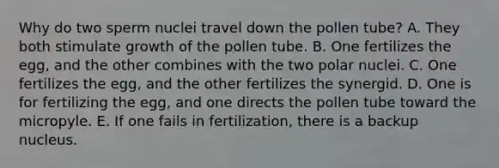 Why do two sperm nuclei travel down the pollen tube? A. They both stimulate growth of the pollen tube. B. One fertilizes the egg, and the other combines with the two polar nuclei. C. One fertilizes the egg, and the other fertilizes the synergid. D. One is for fertilizing the egg, and one directs the pollen tube toward the micropyle. E. If one fails in fertilization, there is a backup nucleus.