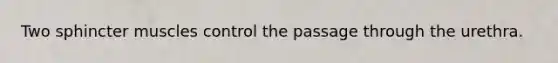 Two sphincter muscles control the passage through the urethra.