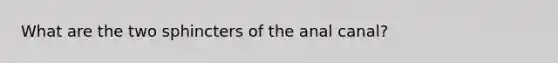 What are the two sphincters of the anal canal?